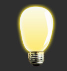 Bulb